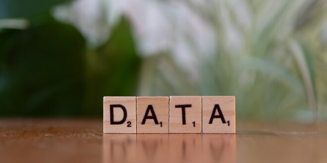 The Generalist: The New All-Around Type of Data Professional?
