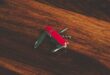 Should We Use LLMs As If They Were Swiss Knives?