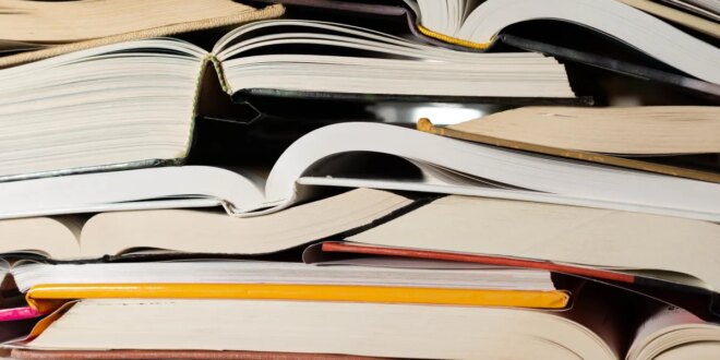 Publisher pulls horror novel ‘Shy Girl’ over AI concerns