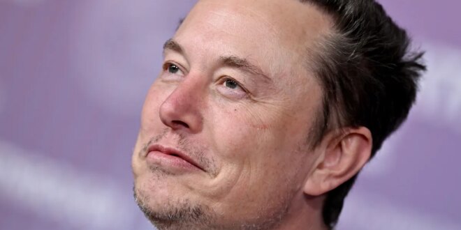 Anthropic is having a moment in the private markets; SpaceX could spoil the party